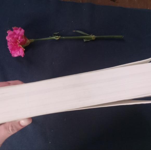 Pre-Owned Encyclopedia of Electronic Circuits Volume I 1st Edition - Picture 4 of 4